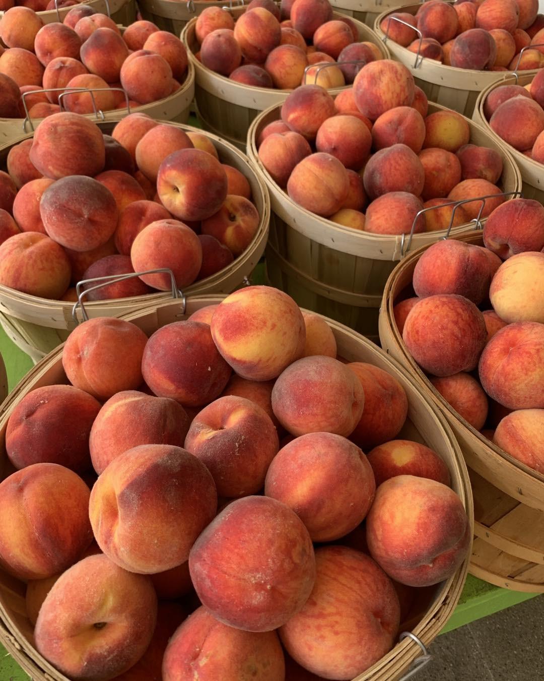 Peaches at Fruit Acres Farms.