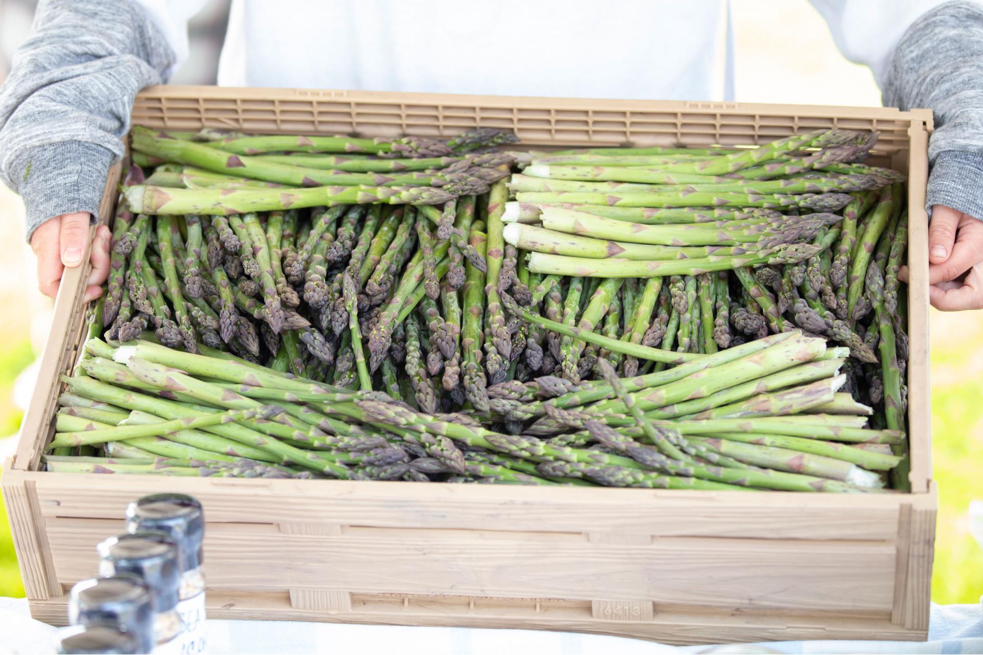 A-basket-of-asparagus-from-the-St-Joe-Farmers-Market