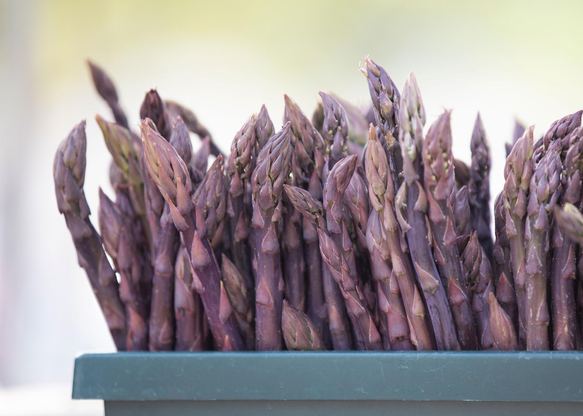 Purple-asparagus-found-at-the-St-Joe-Farmers-Market