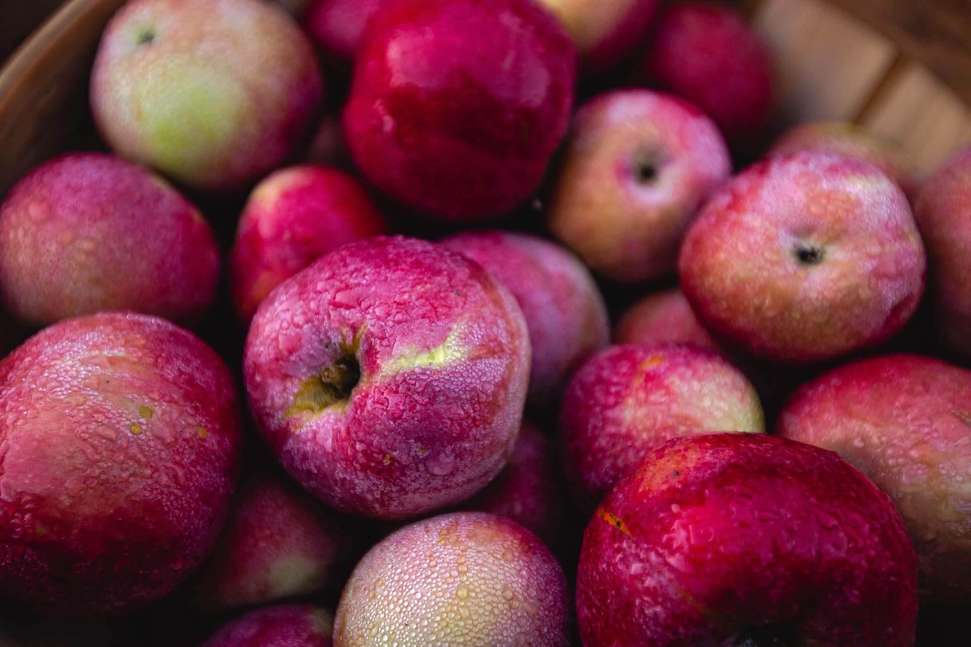 Where to get your Southwest Michigan cider fix this fall Southwestern