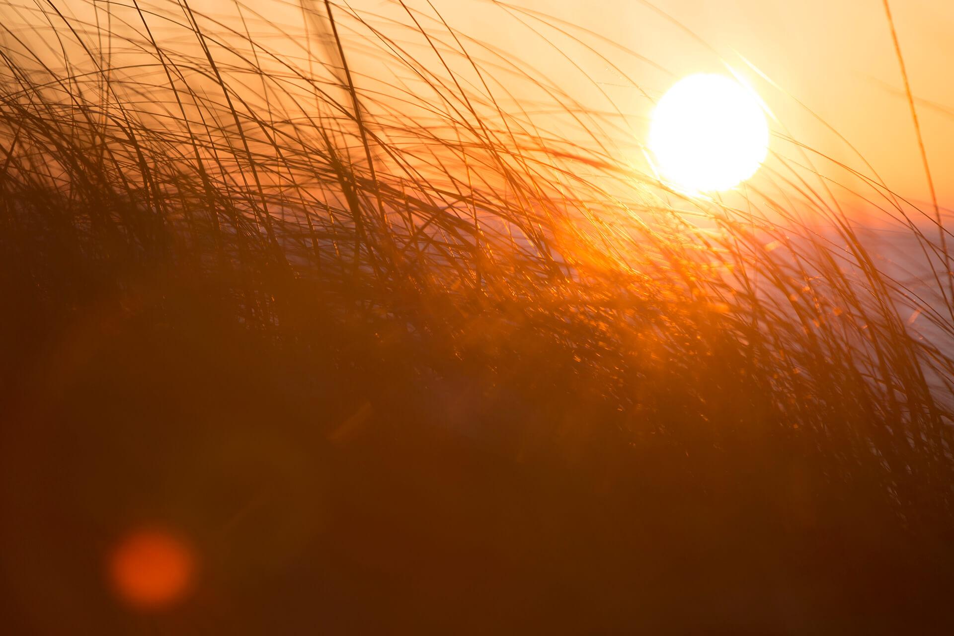 Southwest Michigan sunsets help Mental Health