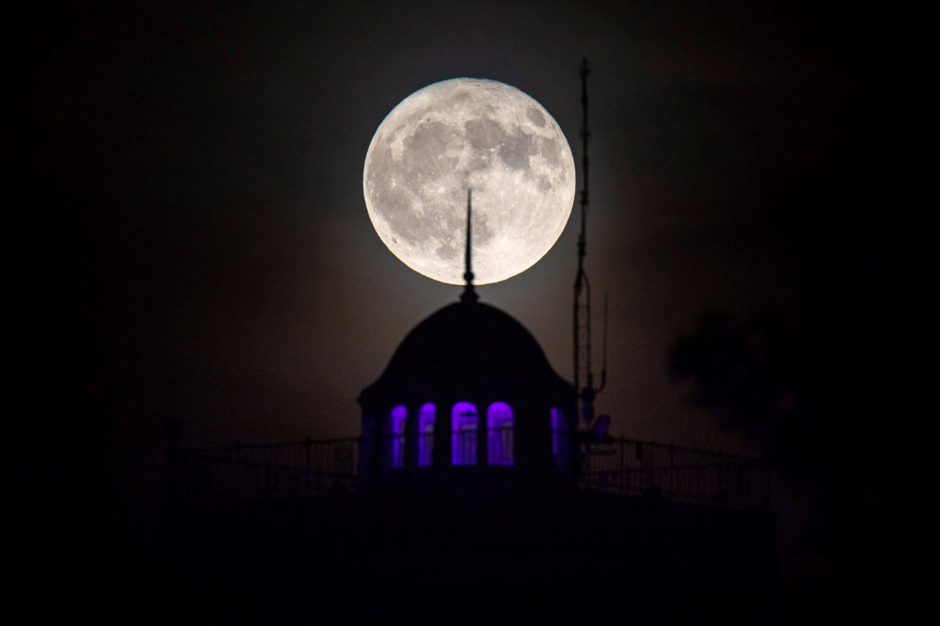 Moon & Whitcomb photo by Joshua Nowicki