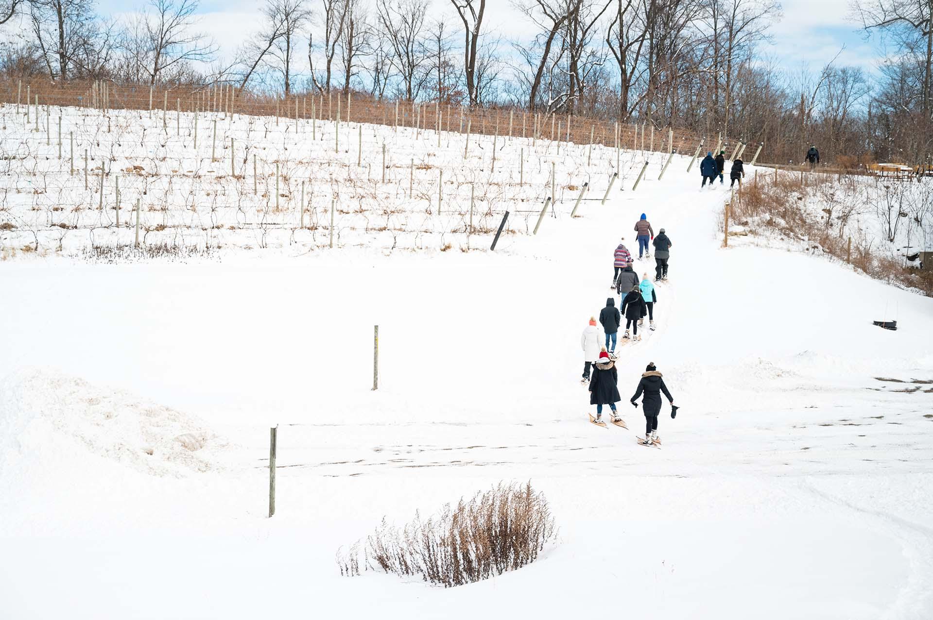 Dablon Vineyards Winery Snowshoes Igloos Fireside Fun Southwestern Michigan Tourist Council
