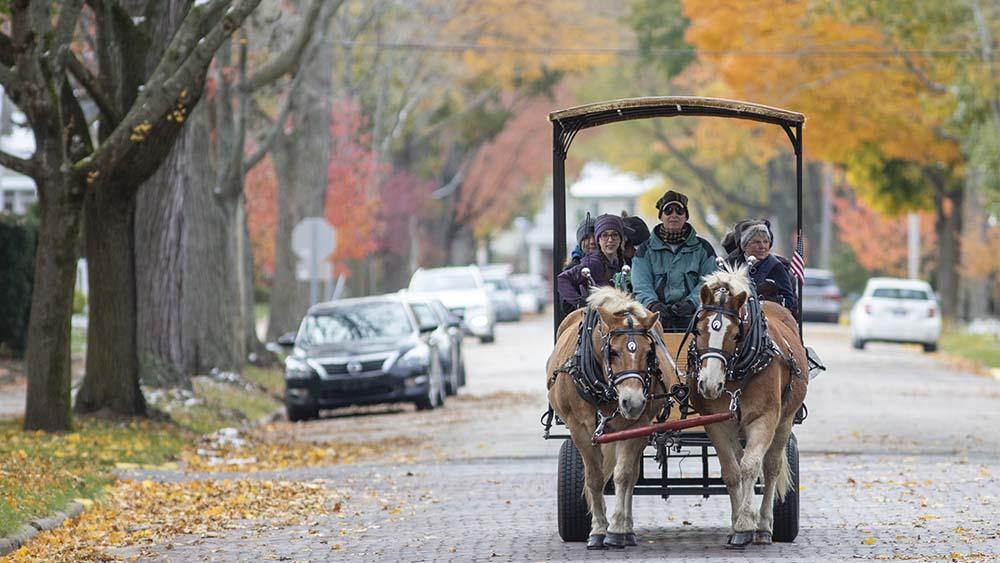 Horse-drawn trolley on a brick road. 