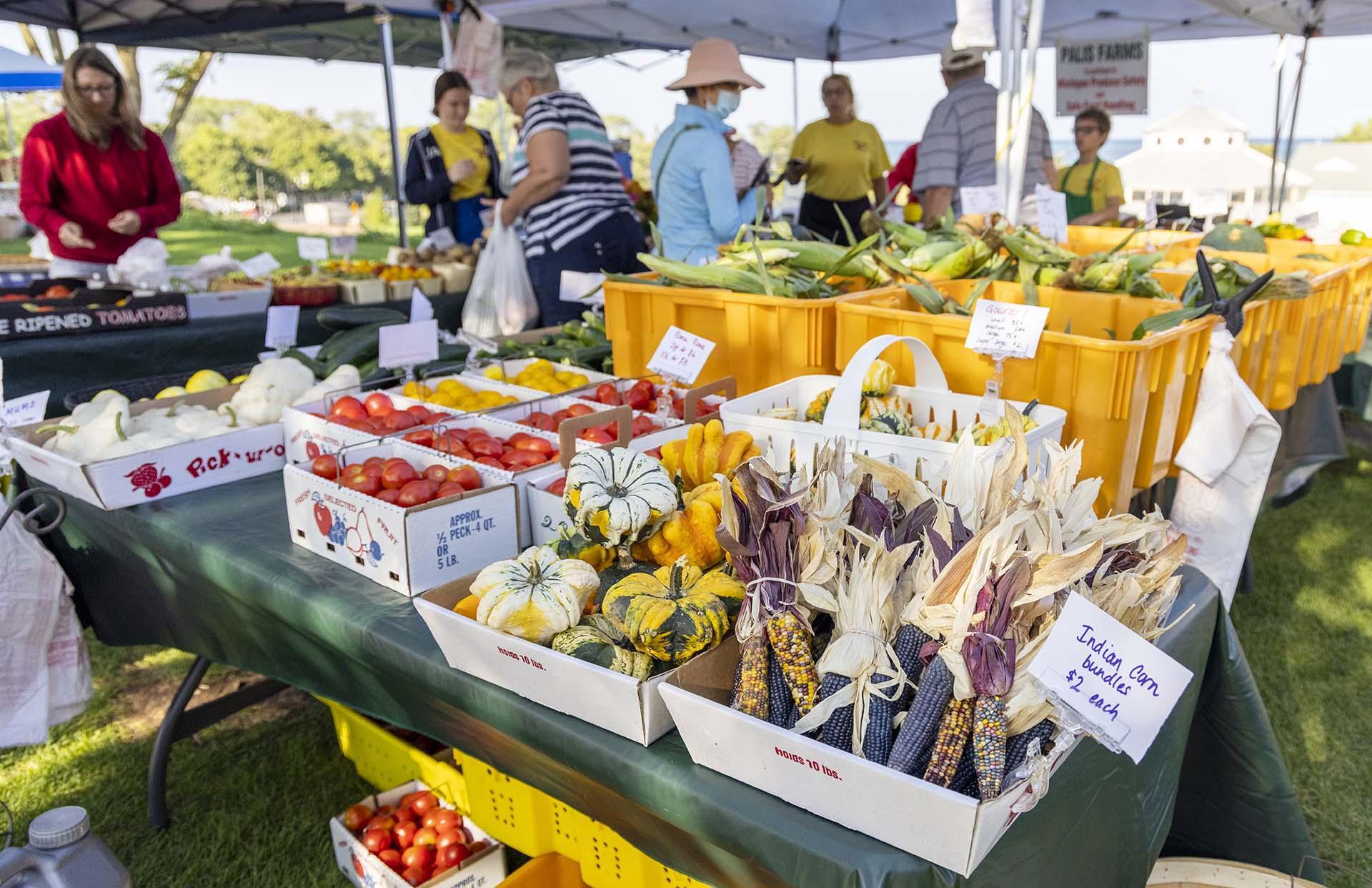 People shopping at a farmers market.