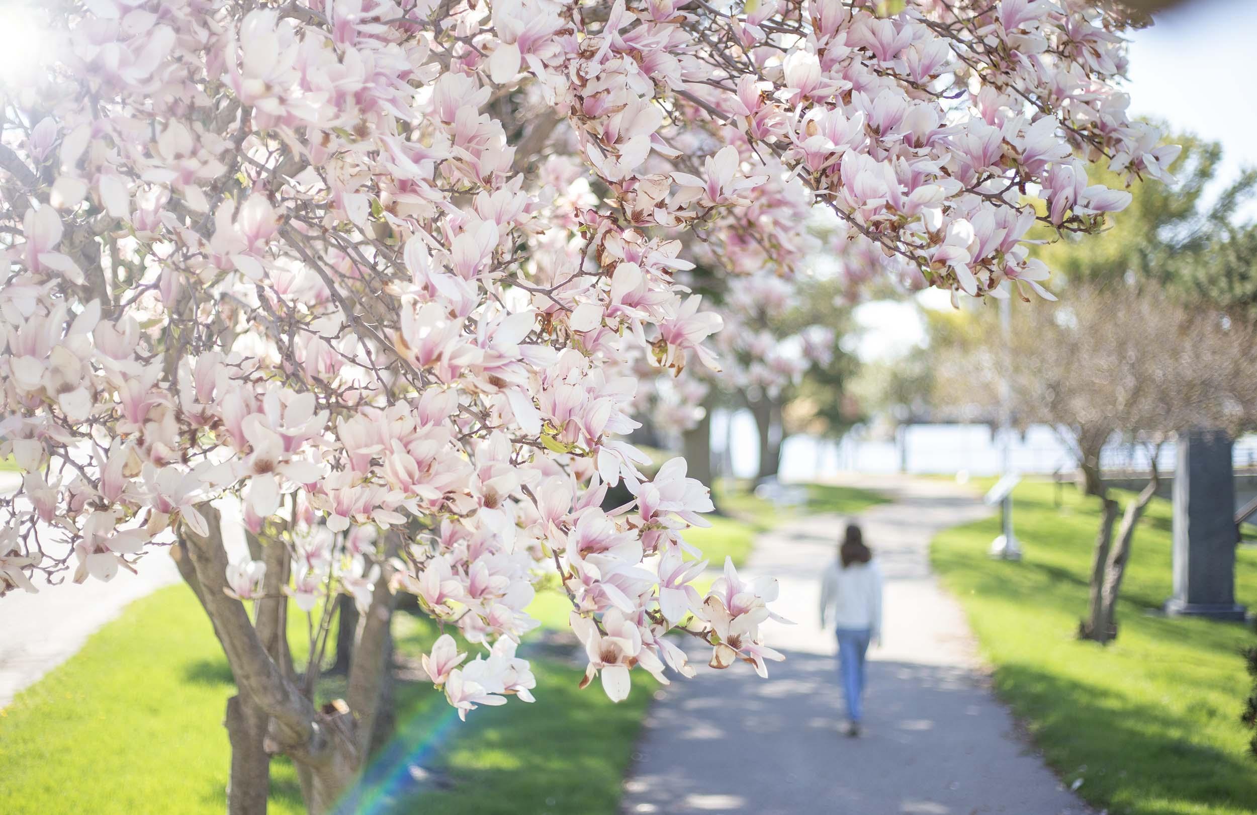 Discover Hidden Gems on a Spring Road Trip