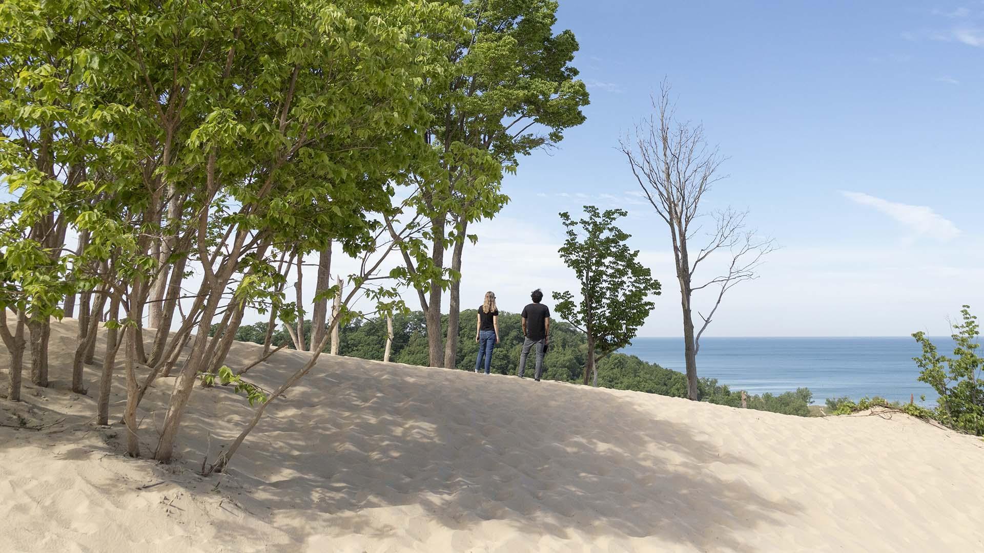 Two people enjoying the view from the top of a dune at Warren Dunes State Park.
