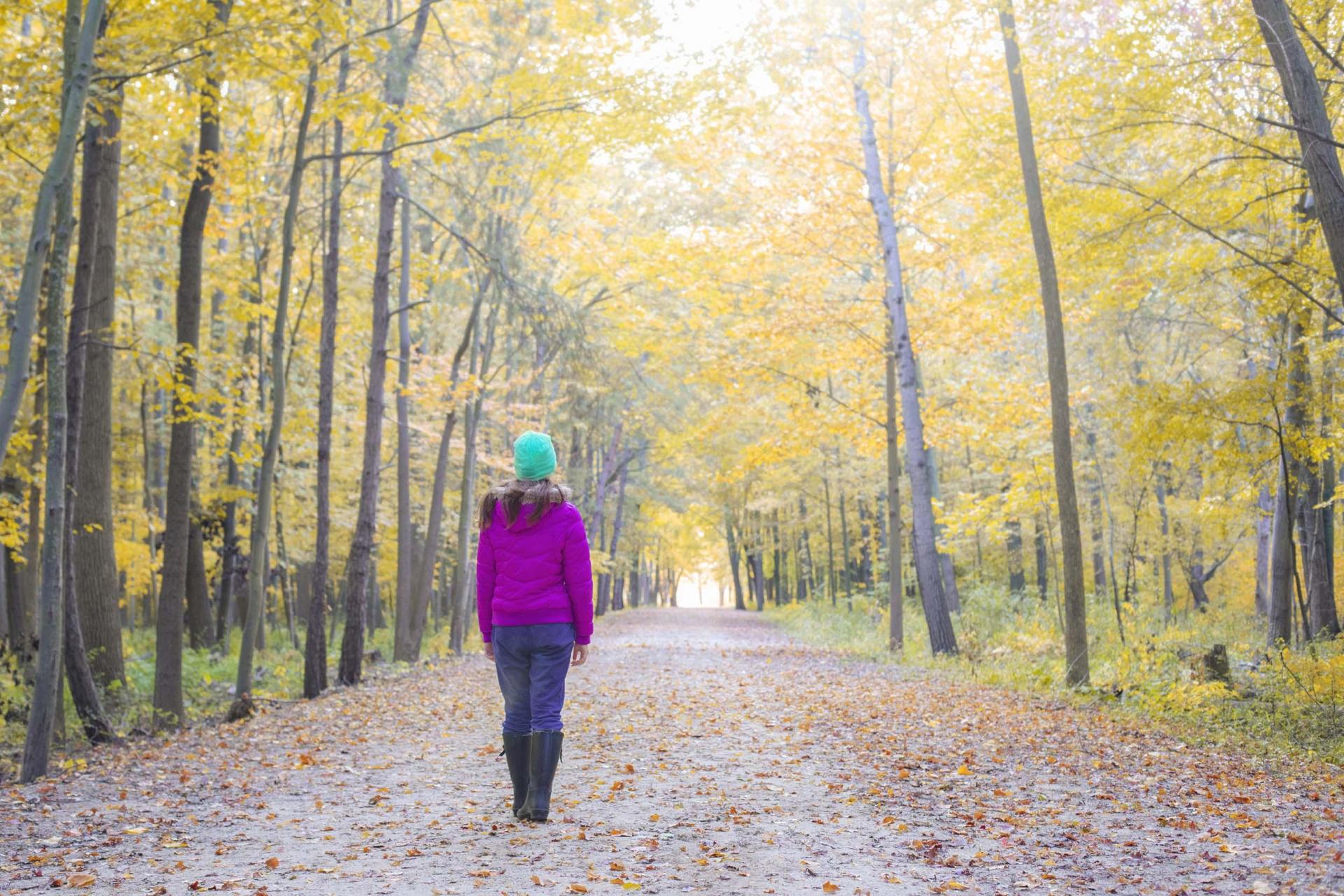 A person walking down a dirt road lined with vibrant fall color.