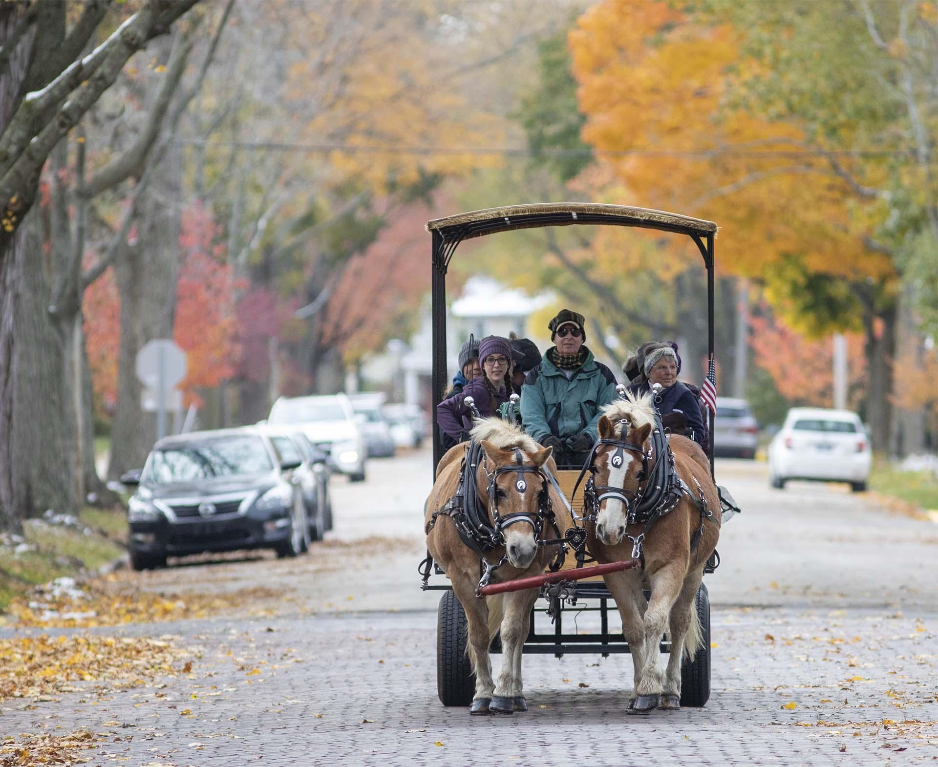 Fall carriage ride in Saint Joseph, MI.