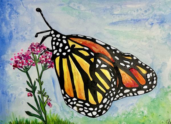 Gouache Butterfly Class