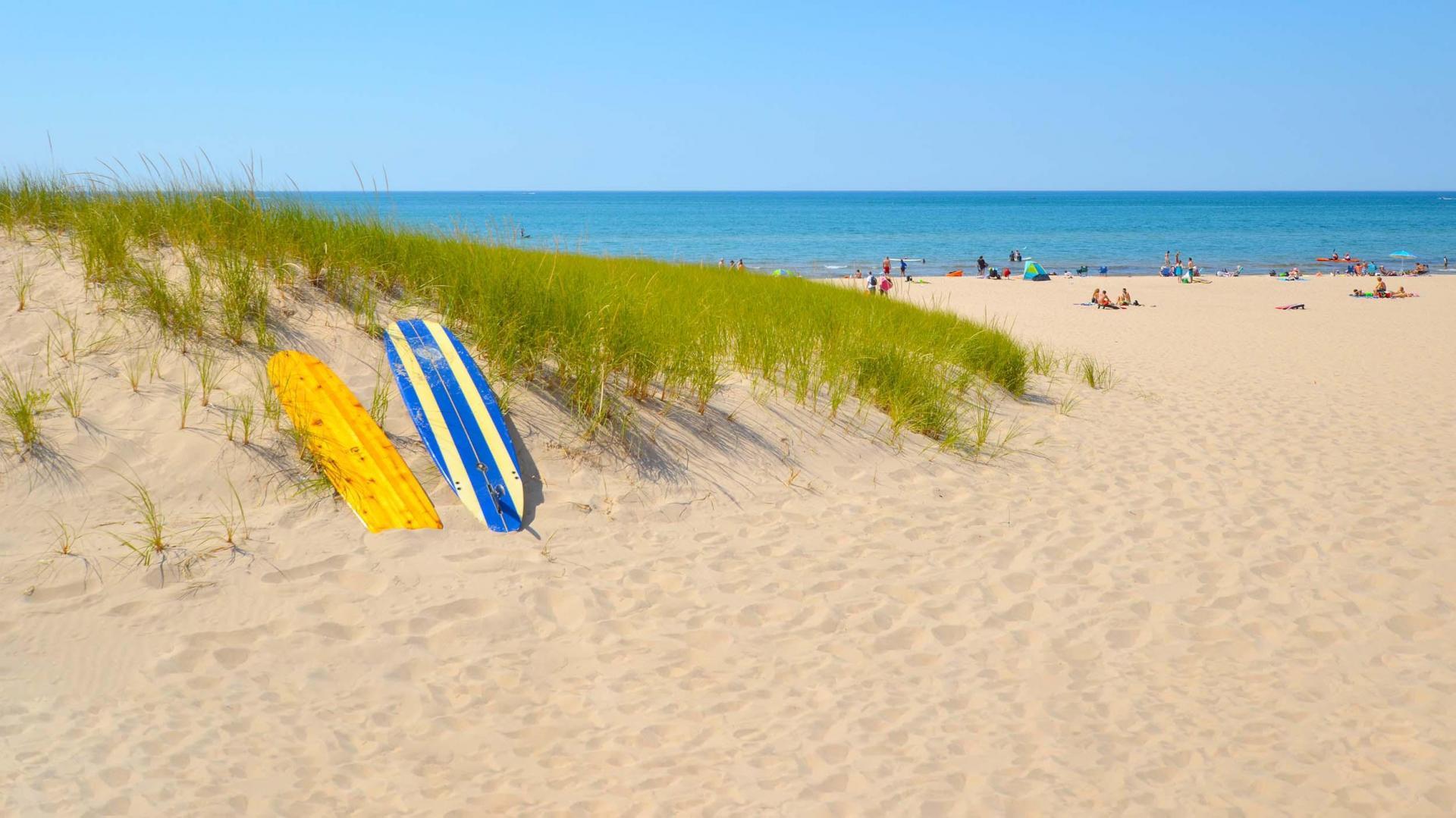 A beach scene with two paddleboards leaning against a sand dune, while people are visible to the right, enjoying the beach on a sunny summer day