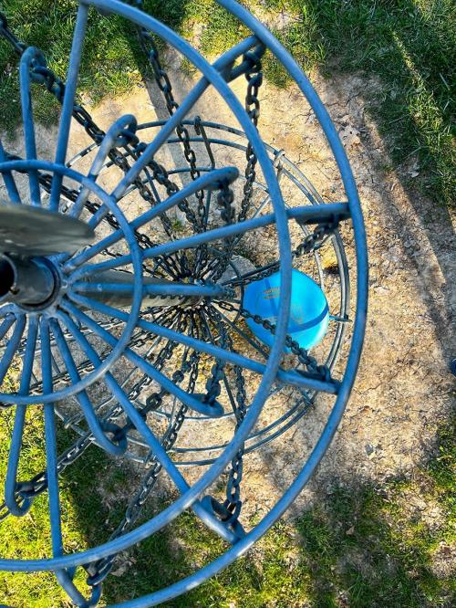 A close-up of a disc golf basket with a blue frisbee resting inside the metal chains and holder