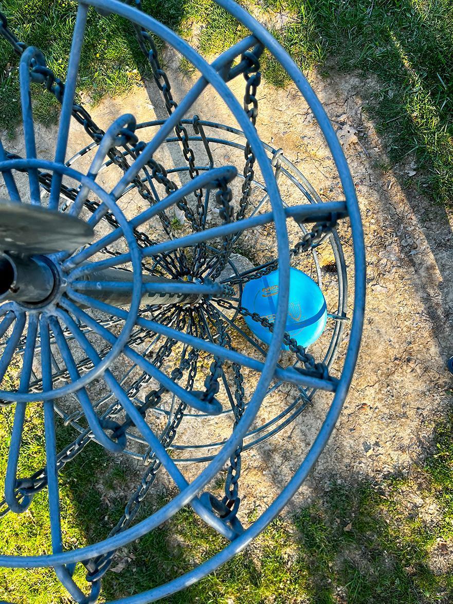 A close-up of a disc golf basket with a blue frisbee resting inside the metal chains and holder