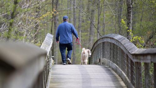A man walking his dog across a wooden bridge at Warren Dunes State Park, surrounded by forested scenery