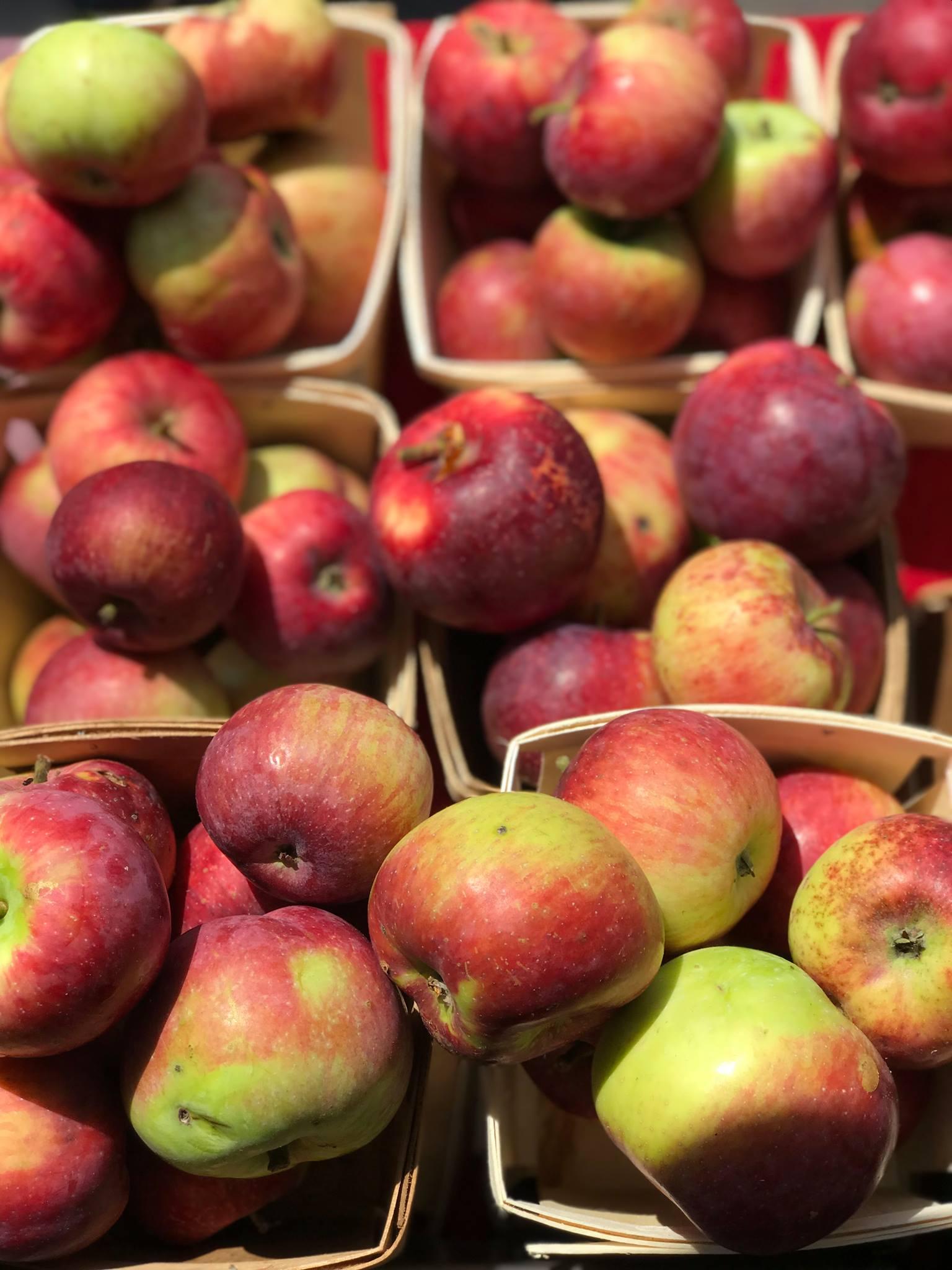 Earth First Farms | Visit Southwest Michigan