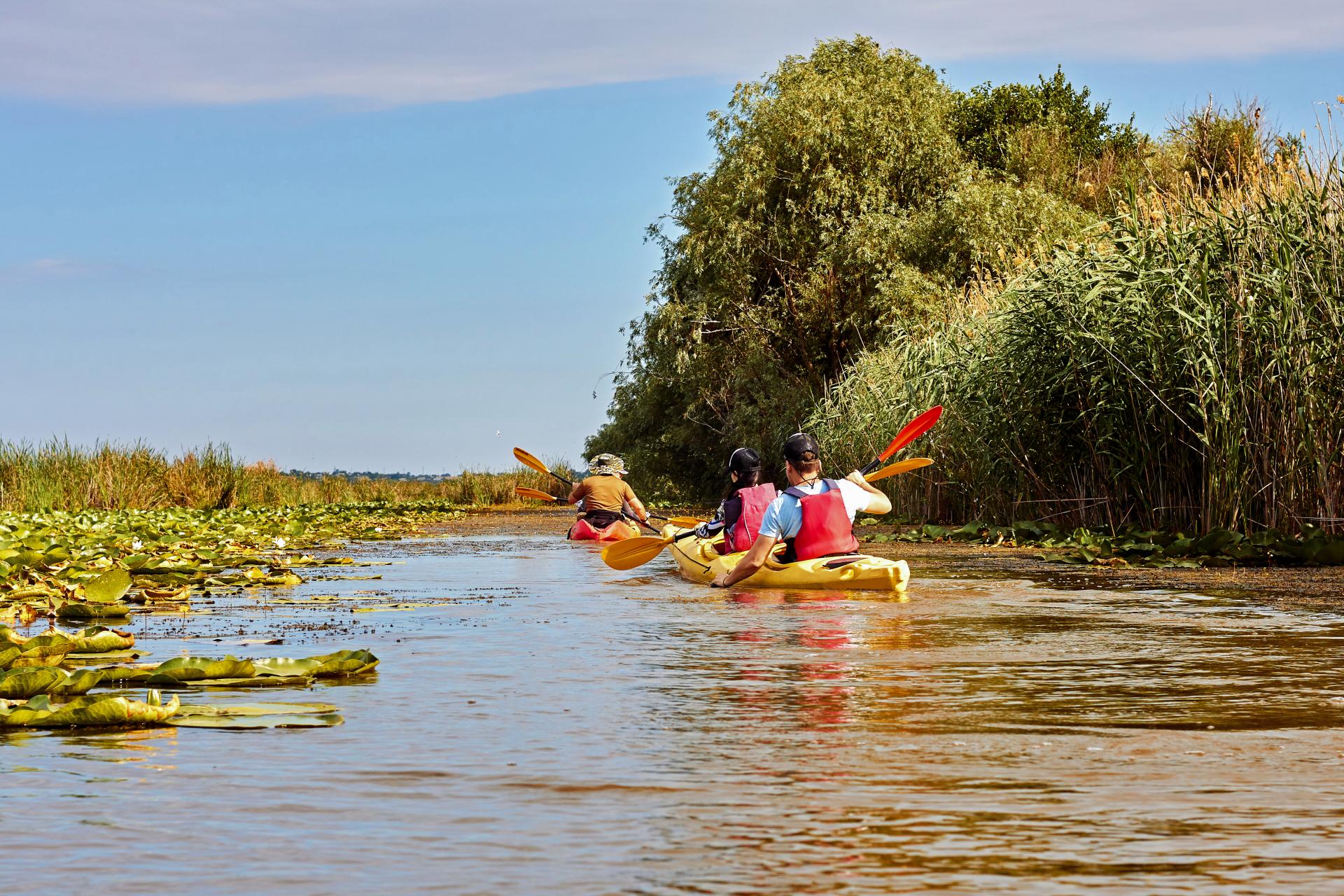 A group of people kayaking down a river, paddling together through calm water surrounded by nature