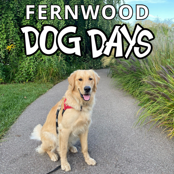 Fernwood Dog Days