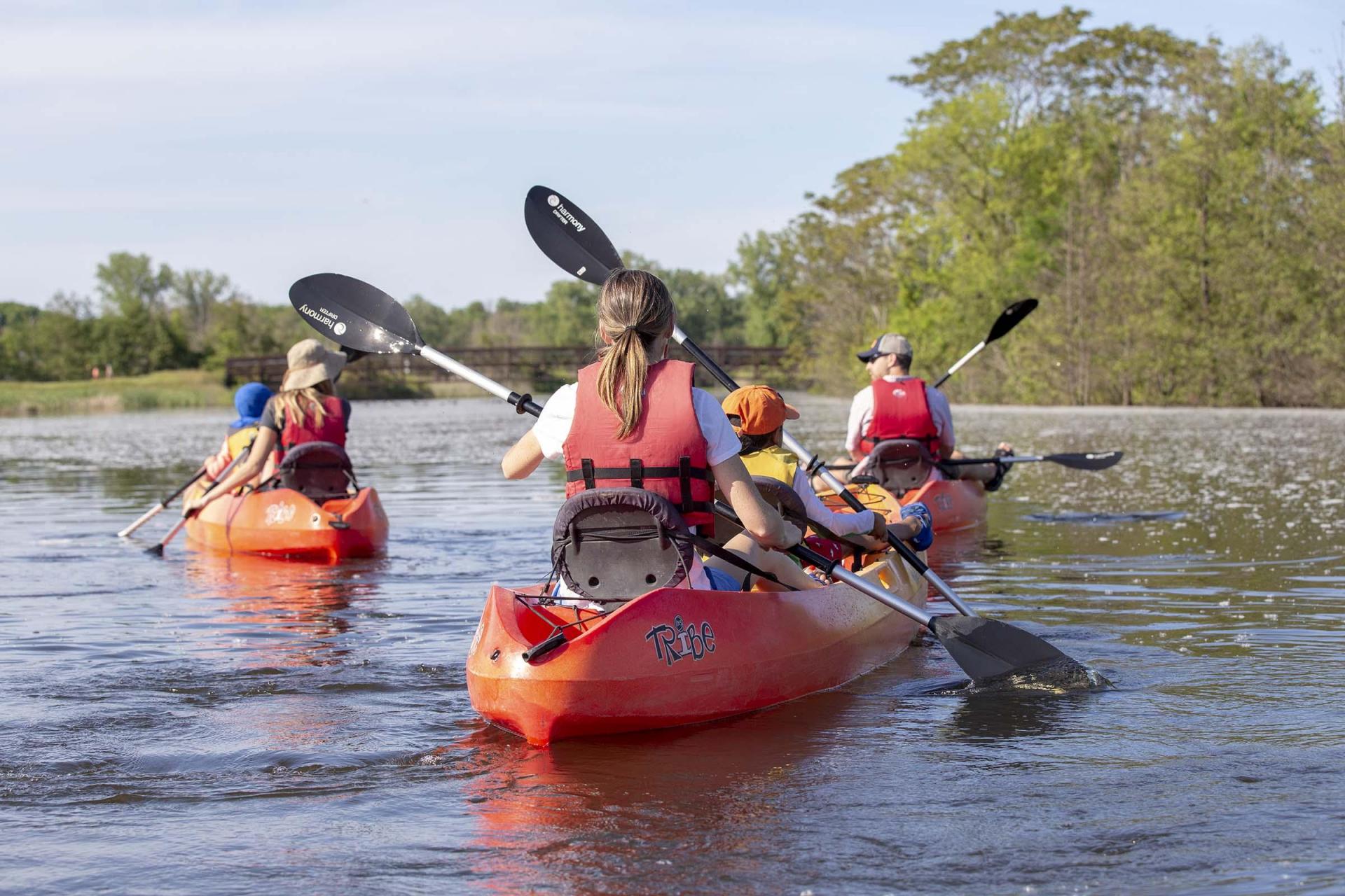 Group kayaking on the Paw Paw River.