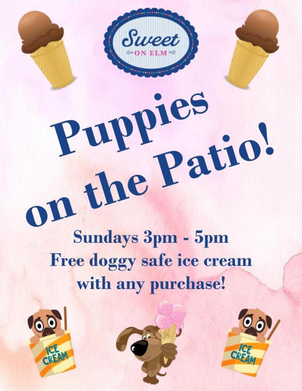 puppy on patio flyer