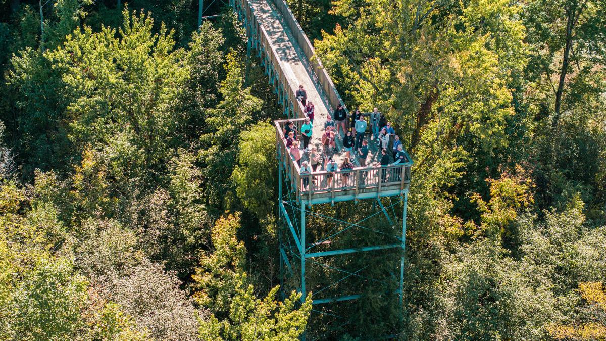 An aerial view of visitors enjoying the overlook boardwalk as it winds through the treetops at Sarett Nature Center.