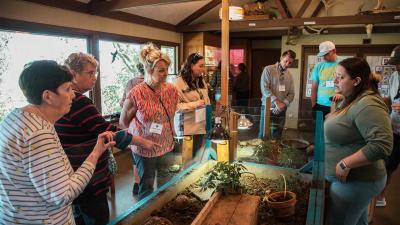 Curious minds gather—observing and learning about the turtles at Sarett Nature Center.