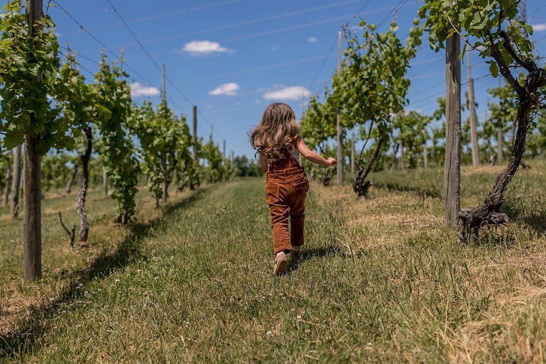 Little girl running through the vineyard