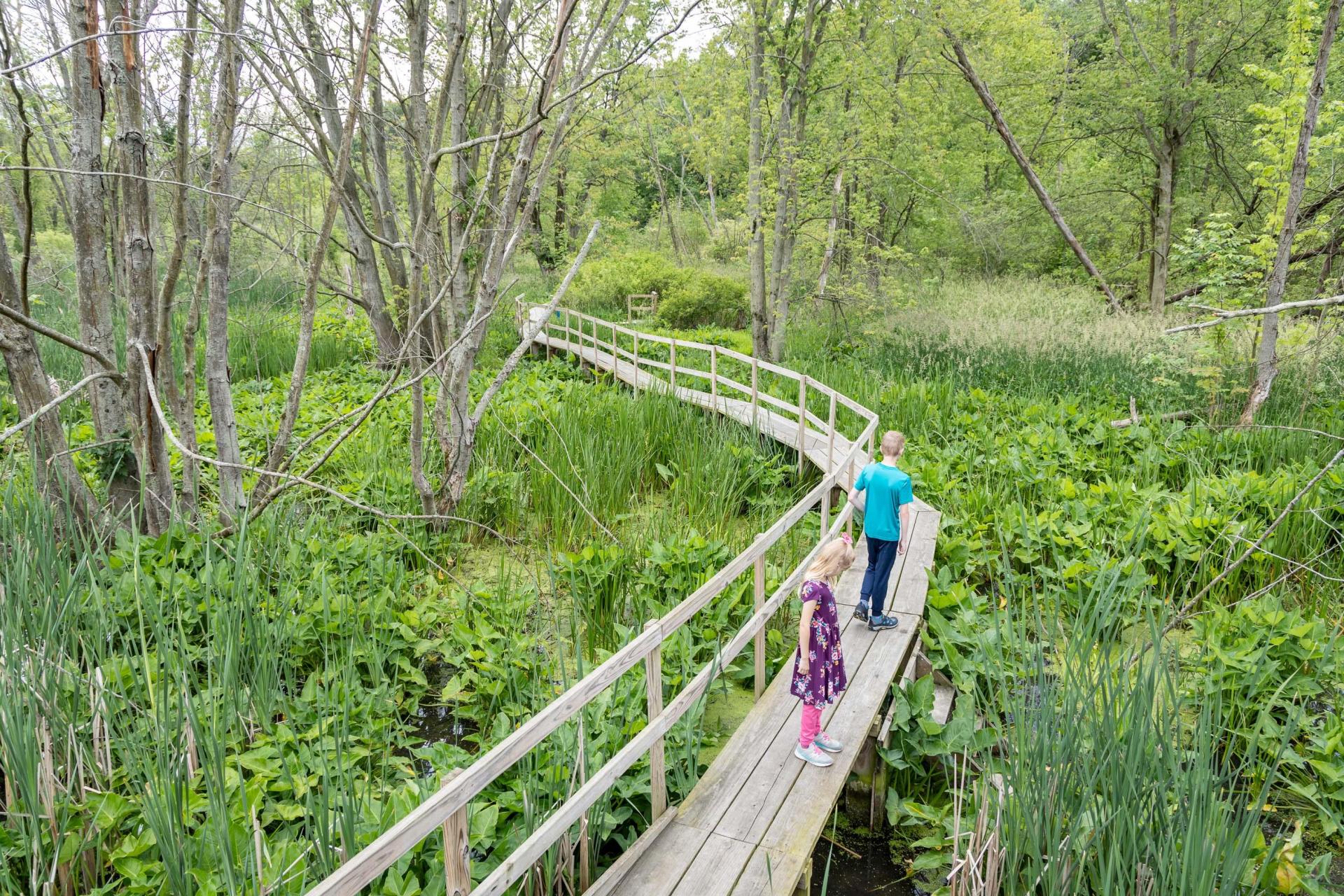 Two children are pictured on a forest boardwalk.