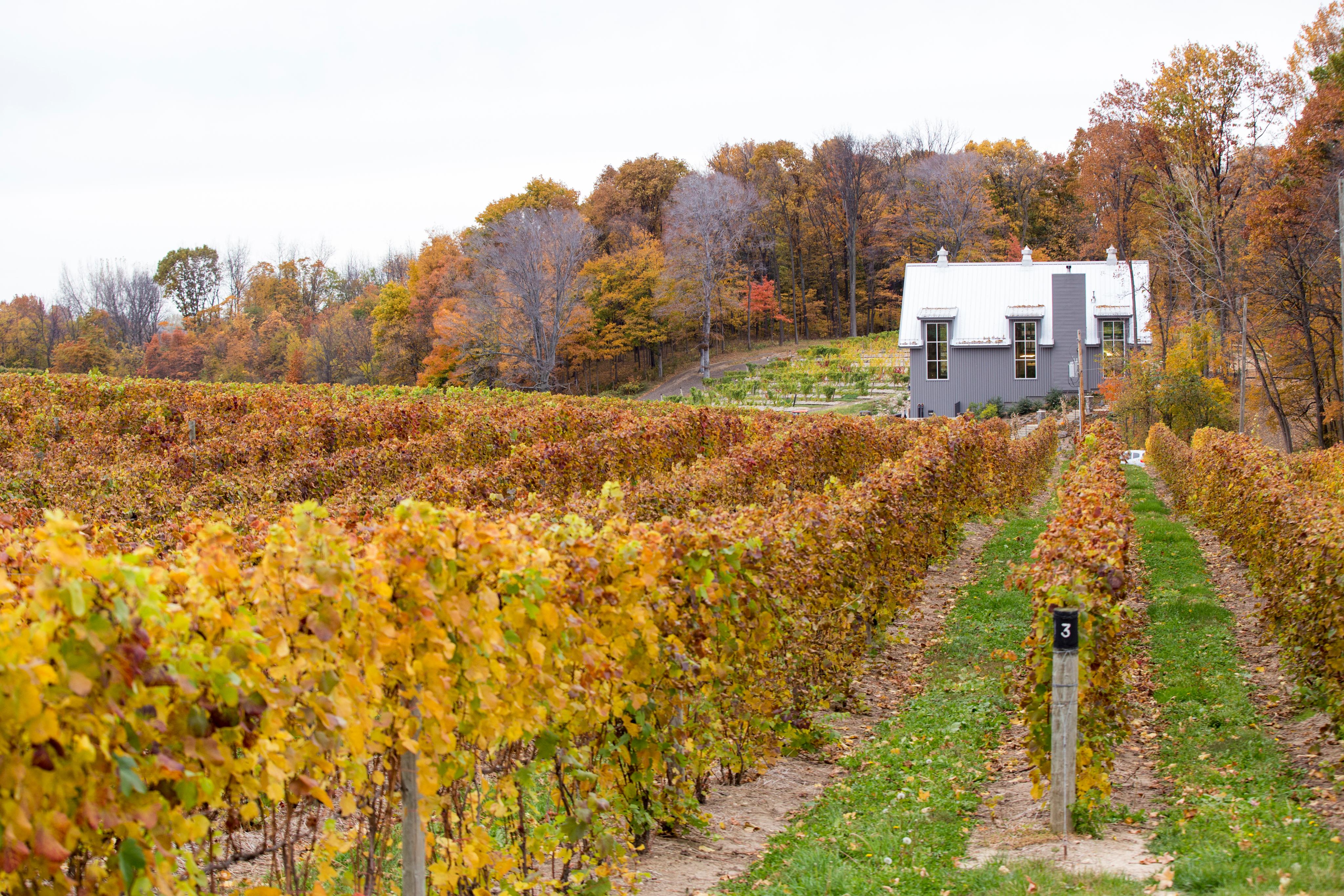 Dablon winery in fall