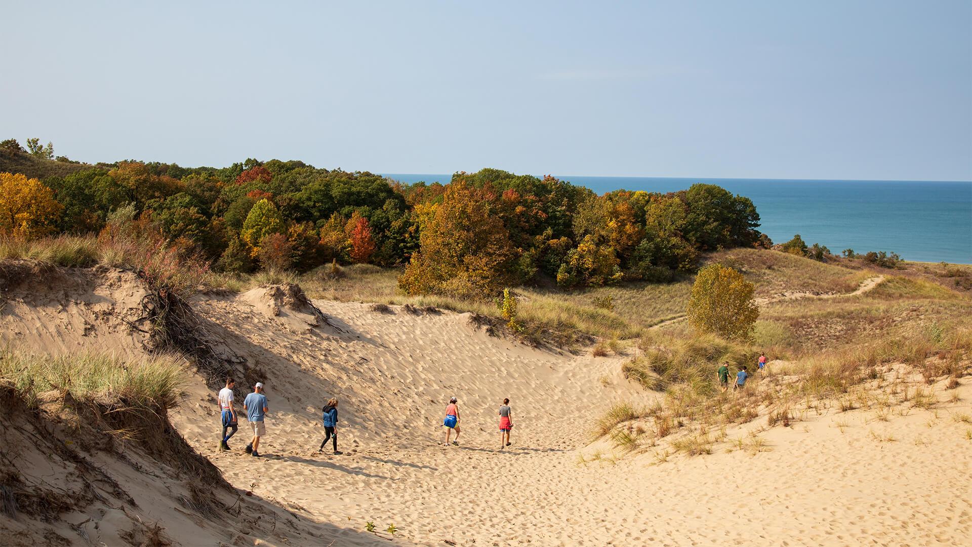 A group of hikers walk across Warren Dunes State Park dunes toward lush, green and autumn-colored trees. The distant horizon shows a calm, blue lake under a clear sky.