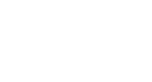 Fulcra Brewing Company