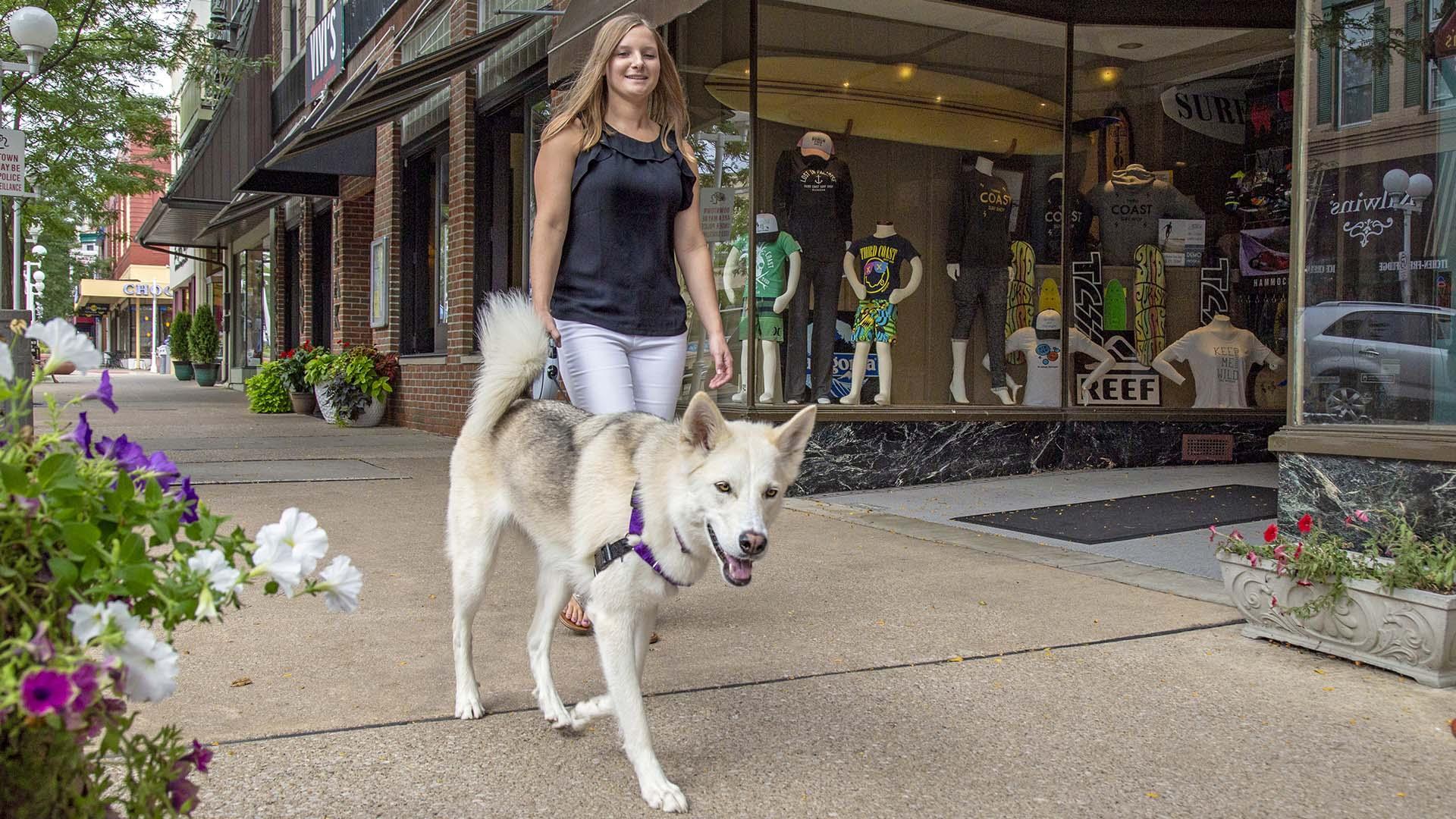 Shopping in downtown Saint Joseph with a dog.