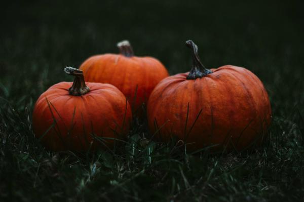 Spooky Halloween Pumpkins