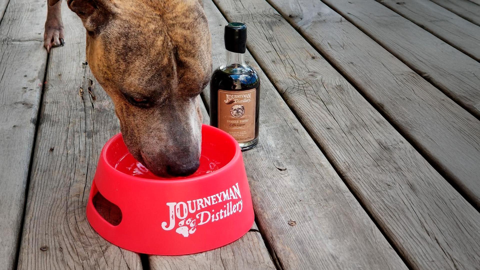 A dog drinks from a red Journeyman Distillery bowl on a wooden deck, next to a bottle of liquor.