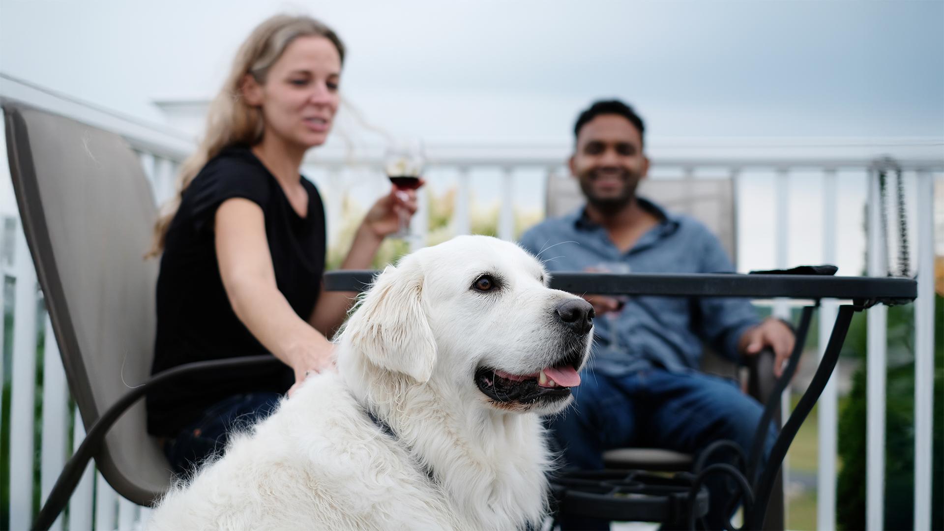 A smiling woman and man sitting at an outdoor table with a large, happy white dog in the foreground. The woman holds a glass of red wine, conveying relaxation.