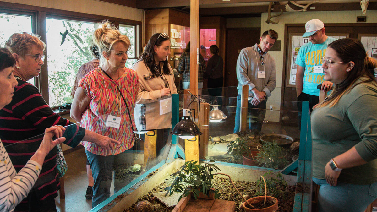 Curious minds gather—observing and learning about the turtles at Sarett Nature Center.