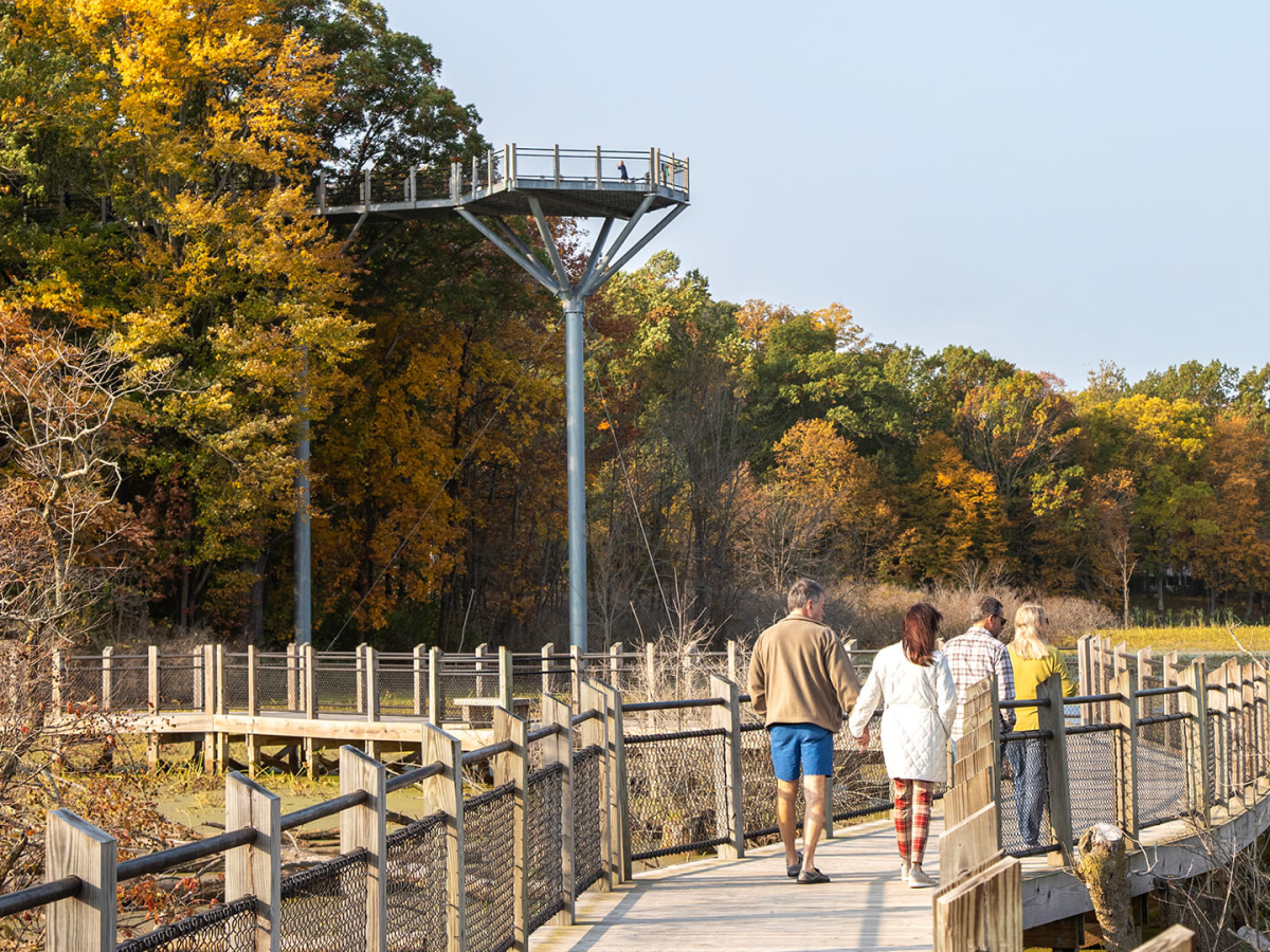 A couple walks on a wooden boardwalk across Galien River towards a tall observation platform surrounded by autumn trees with colorful foliage under a clear blue sky.