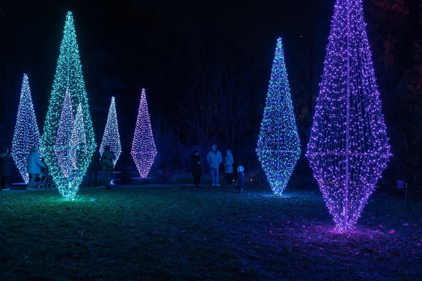 Fernwood Botanical Garden lit with holiday lights after dark.