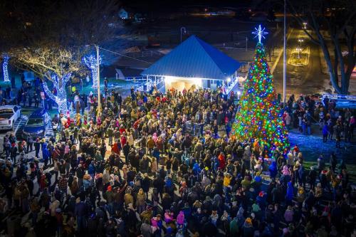 Holiday Tree Lighting