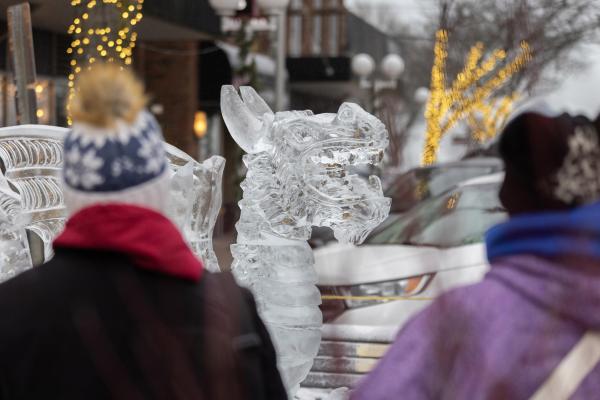 People Looking at Large Ice Sculpture