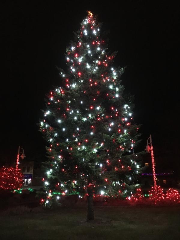 Benton Harbor Holiday Lights