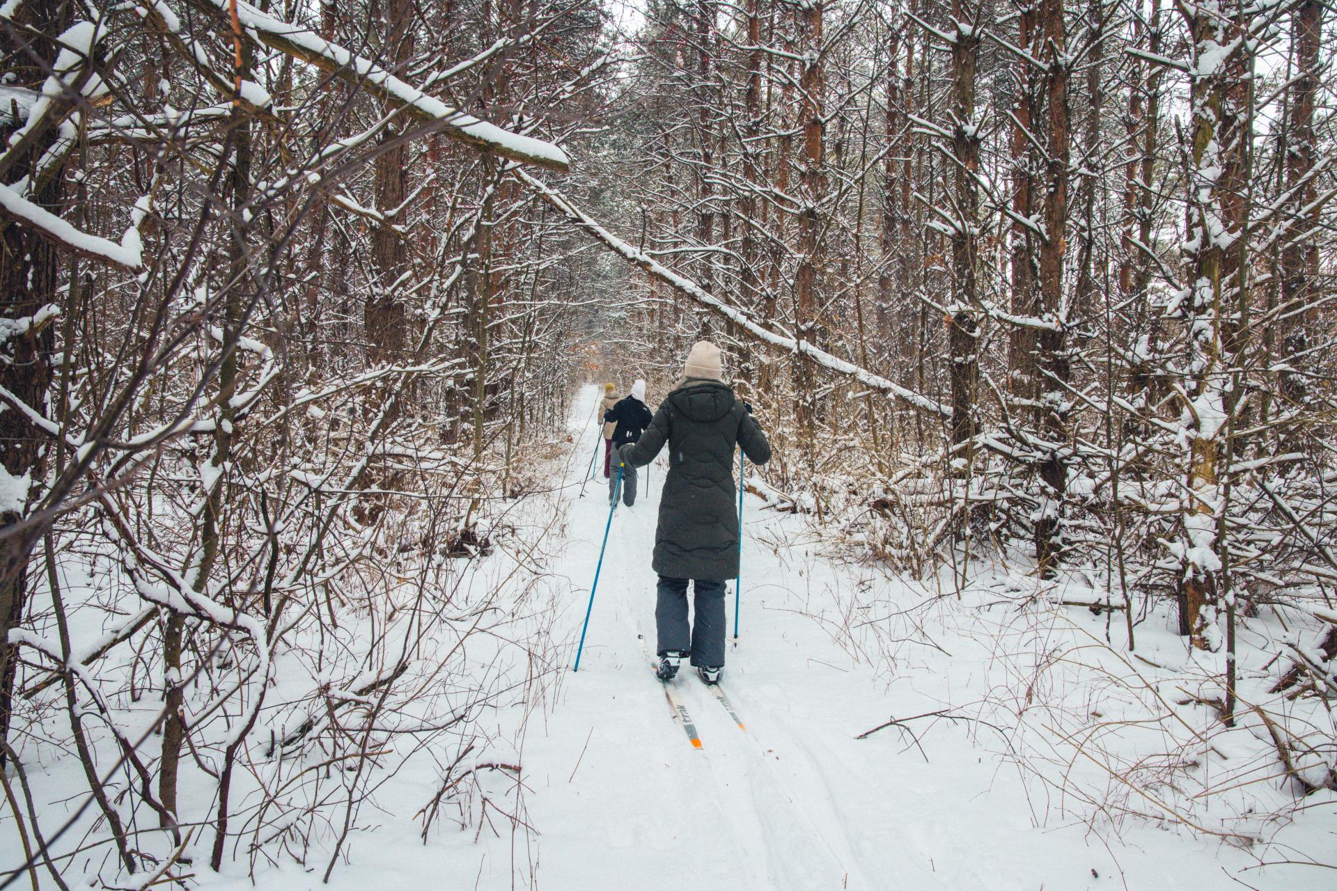 Women cross-country skiing through the woods at Sarett Nature Center