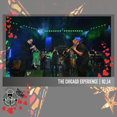 The Chicago Experience