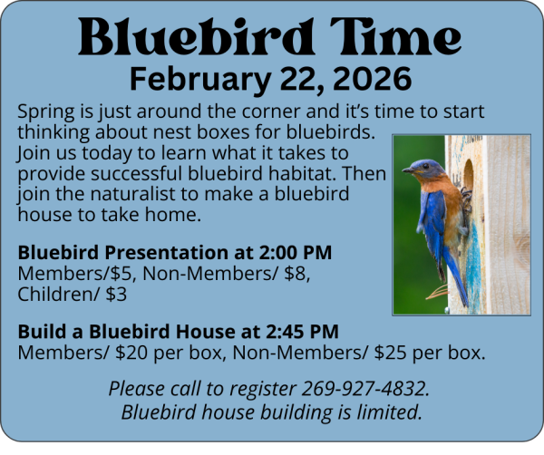 Bluebird program and bird house making at Sarett 