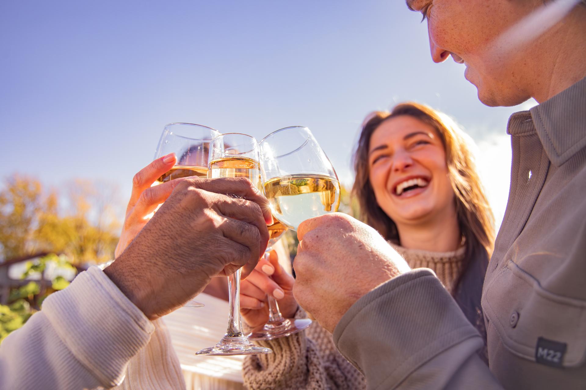 Group of people cheering with wine glasses, blue sky in background