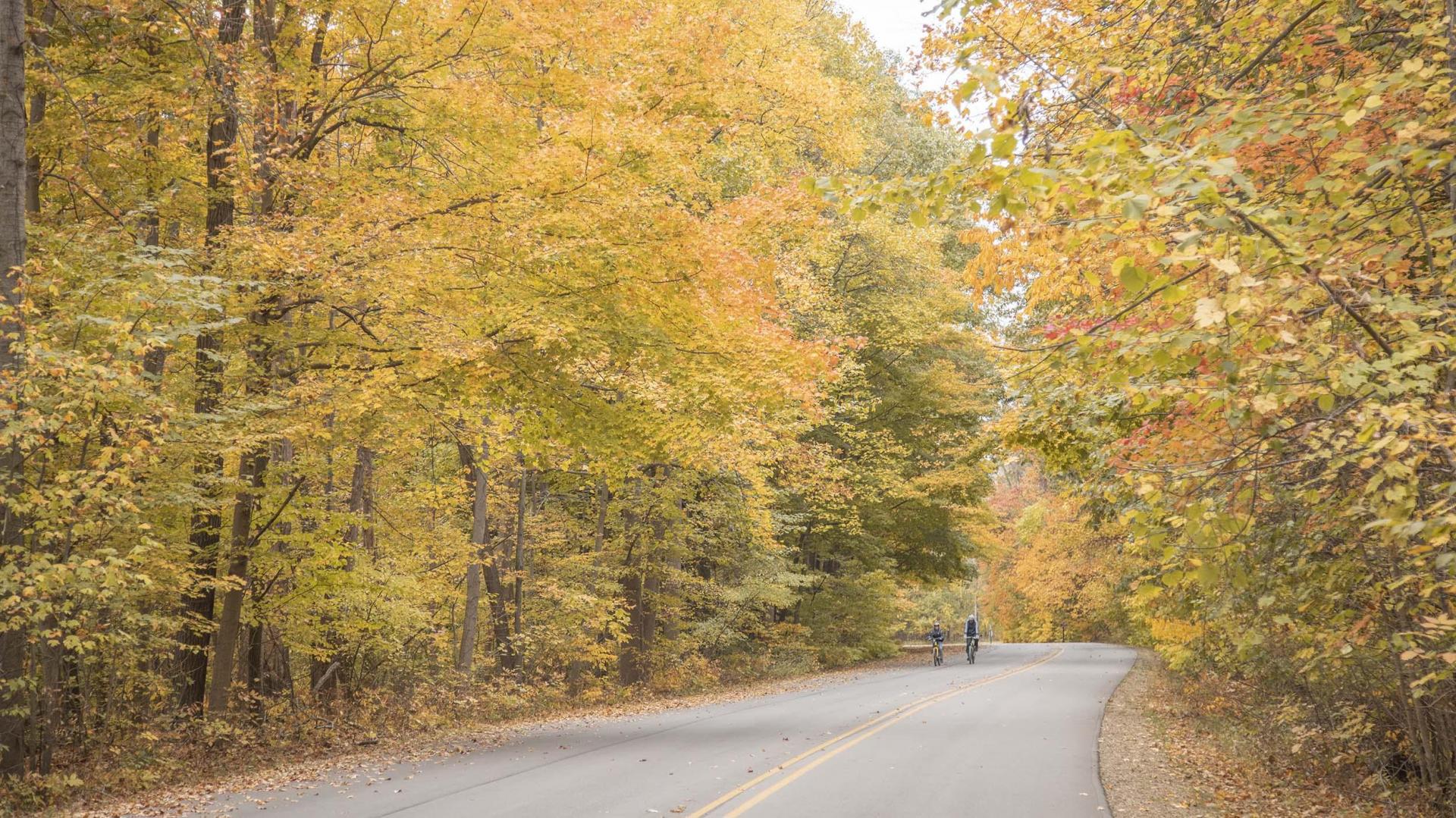 Biking at Warren Dunes State Park in the fall. 