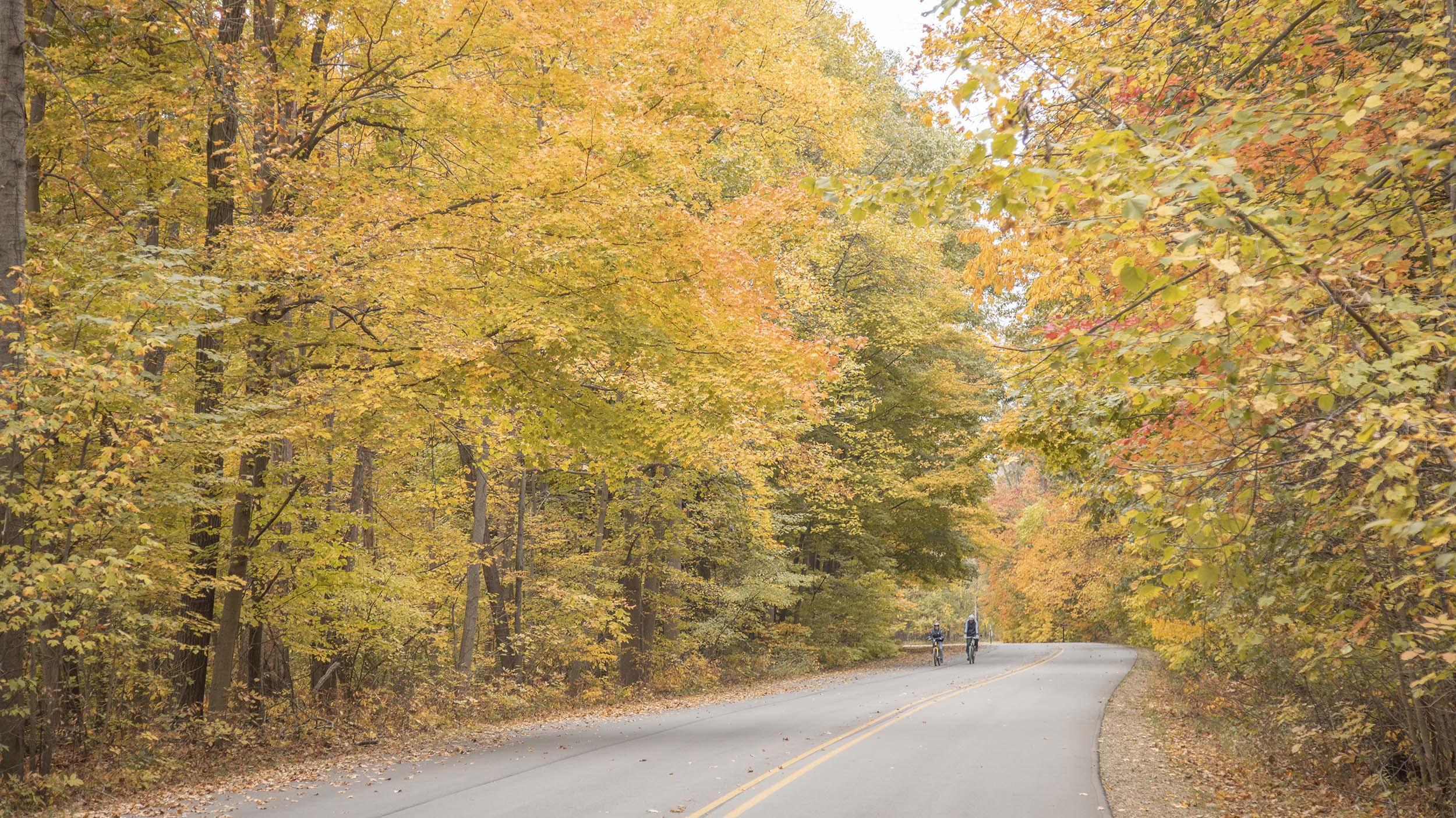 Biking at Warren Dunes State Park in the fall. 