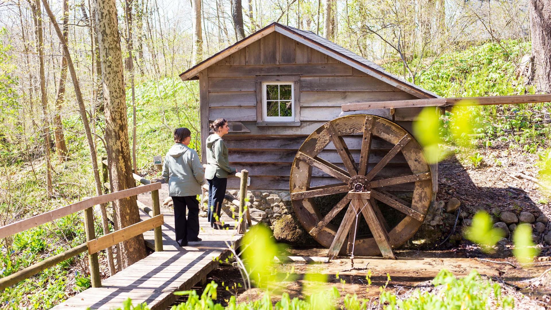 Two people enjoying the trails at Fernwood.