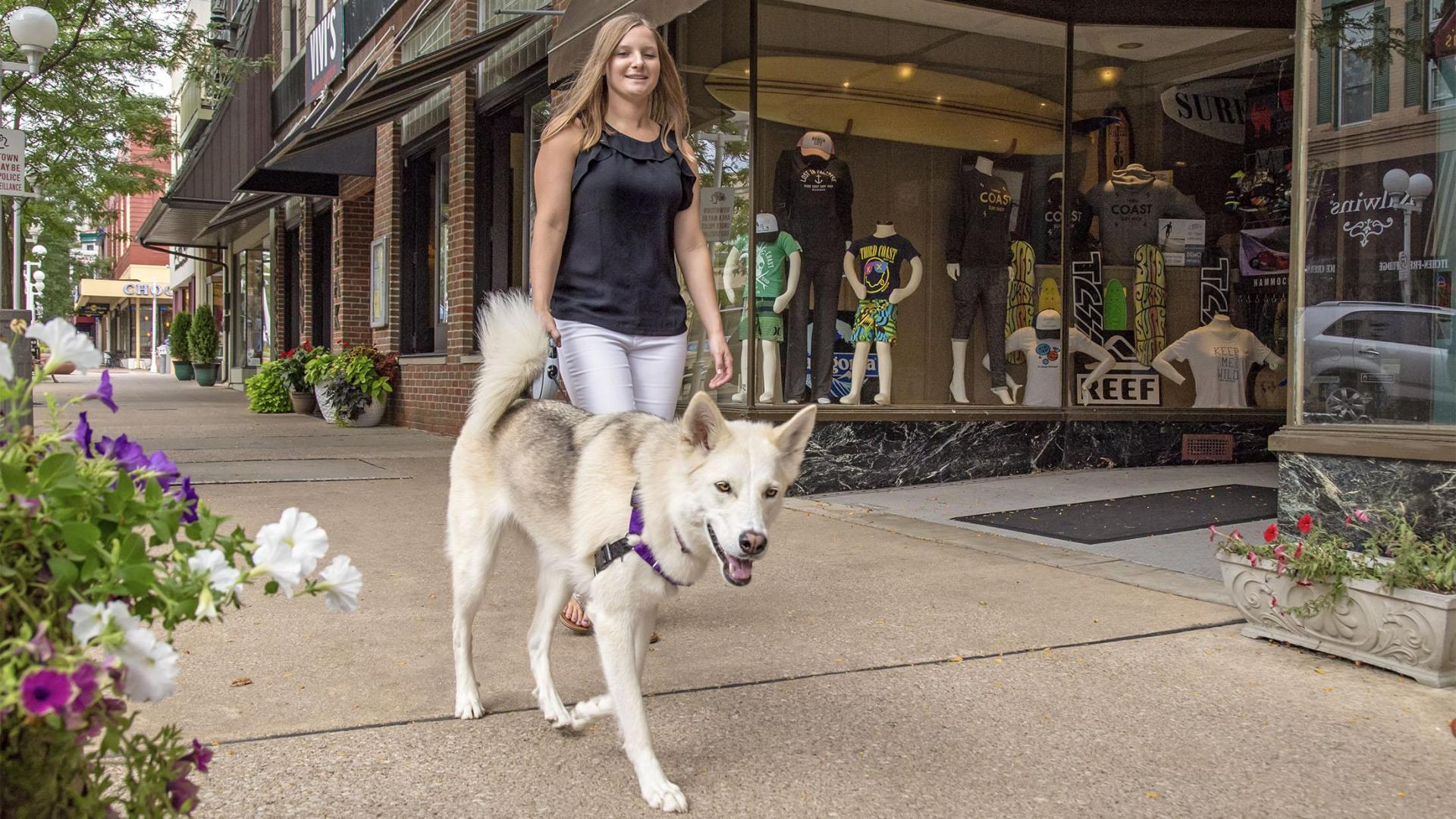 A person walking a dog in downtown Saint Joseph.