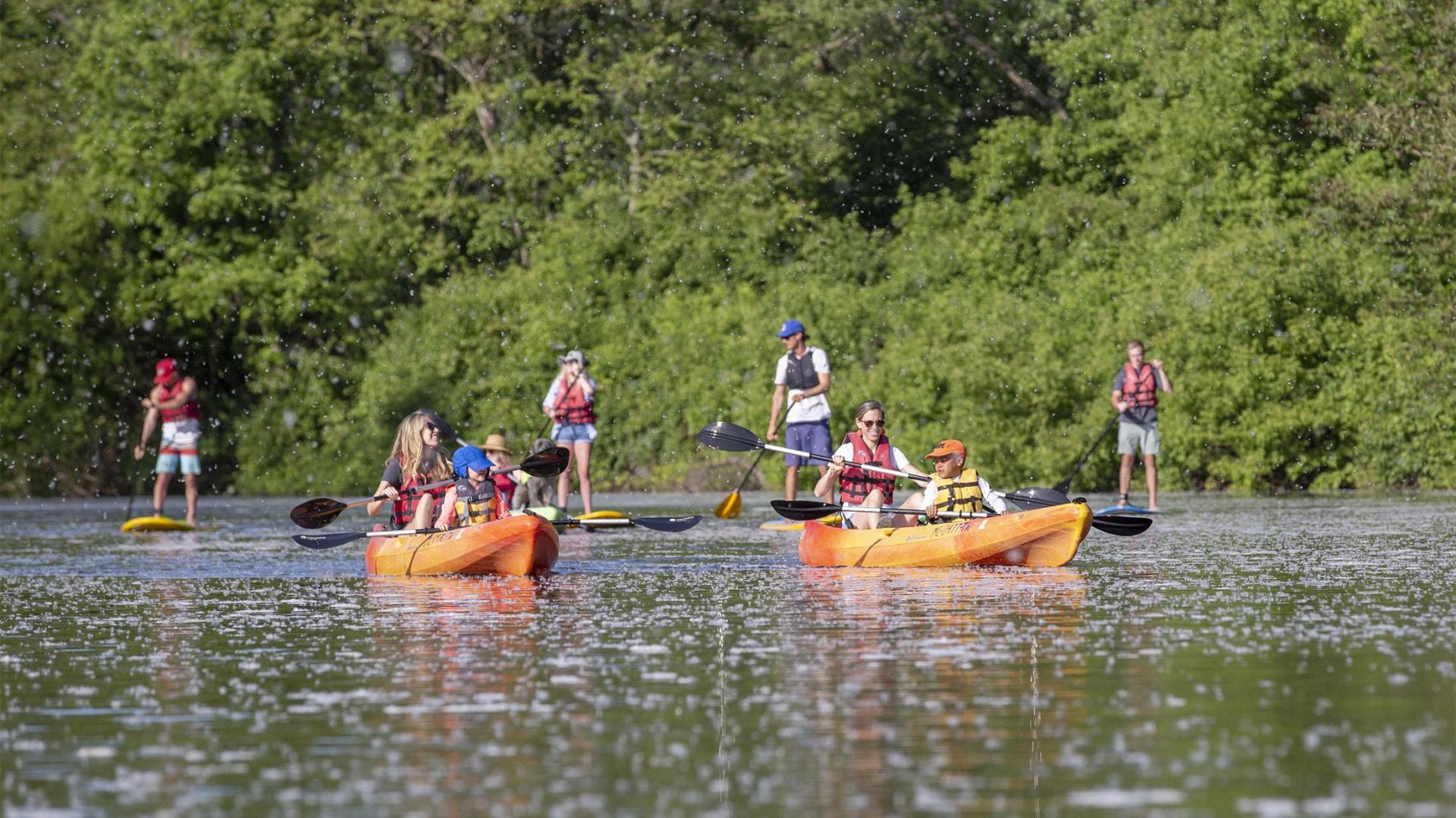 A group kayaking and paddle boarding on the Paw Paw River.