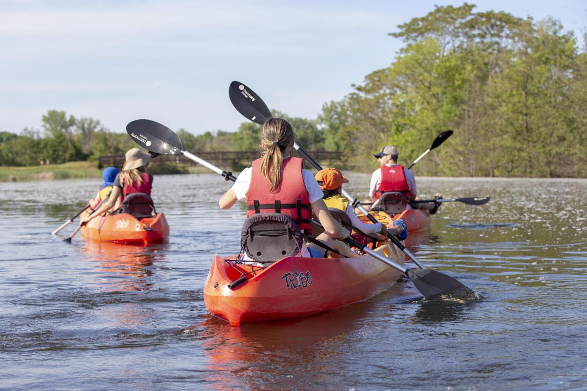 Group Kayaking on a river
